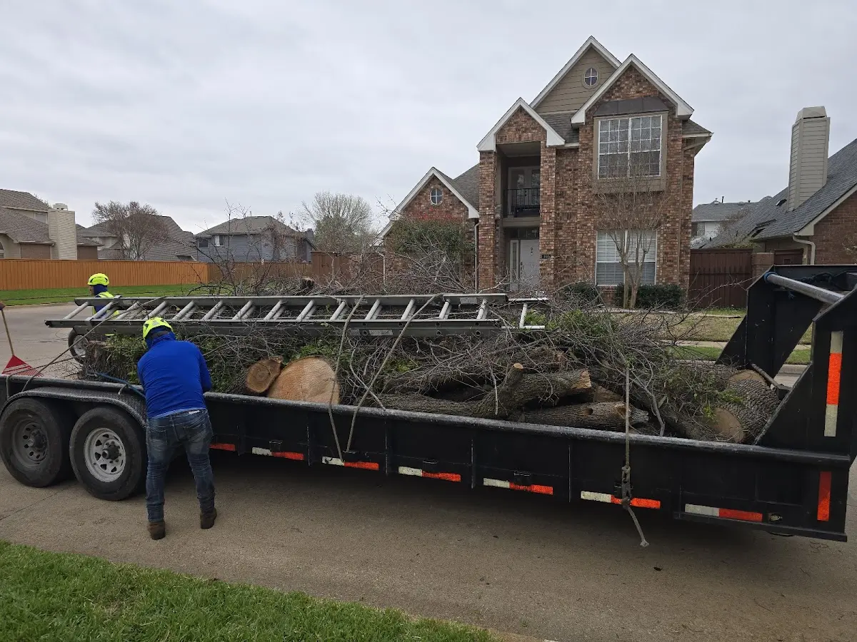 Expert Lot Clearing with proper safety equipment in Brooklyn